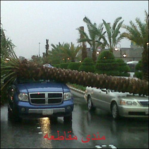 :	q16.jpg
: 285
:	35.4 