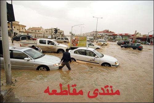 :	q14.jpg
: 325
:	92.7 