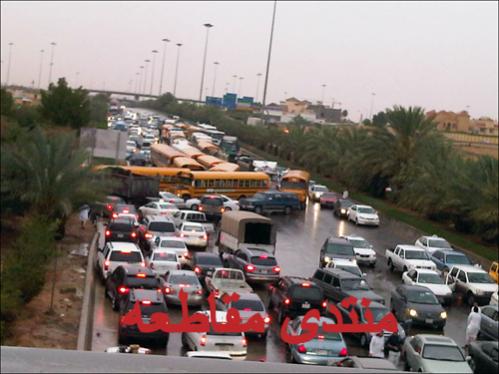 :	q12.jpg
: 229
:	33.6 