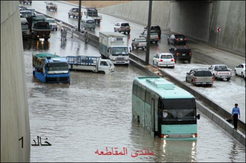 :	q11.jpg
: 272
:	32.7 