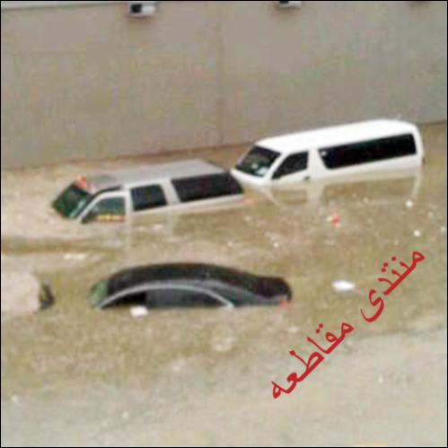 :	q8.jpg
: 262
:	24.9 