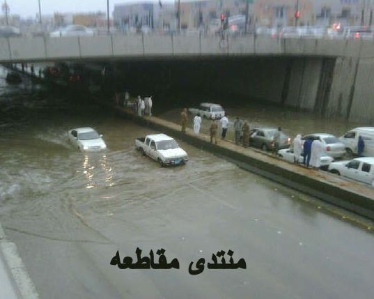 :	88.jpg
: 337
:	35.1 