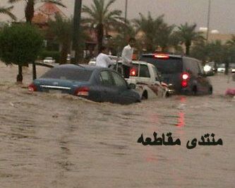 :	888888.jpg
: 334
:	17.9 