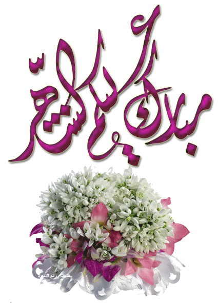     

:	get-7-2010-almlf_com_9wewkroi.jpg
:	368
:	23.8 
:	3350