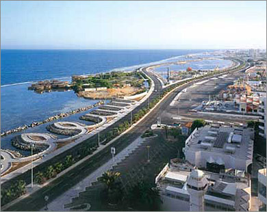 :	33.jpg
: 465
:	41.7 