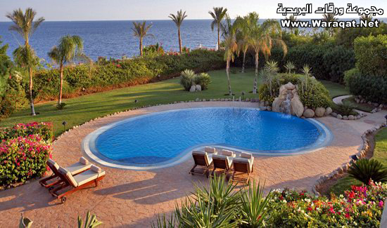 :	77.jpg
: 444
:	101.8 