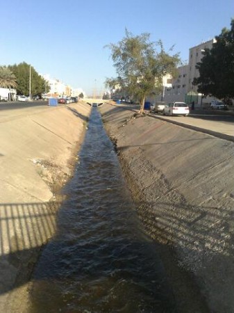 :	jed_1-337x450.jpg
: 751
:	41.6 