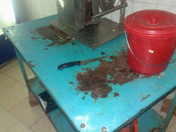 :	a2.jpg
: 1129
:	60.9 