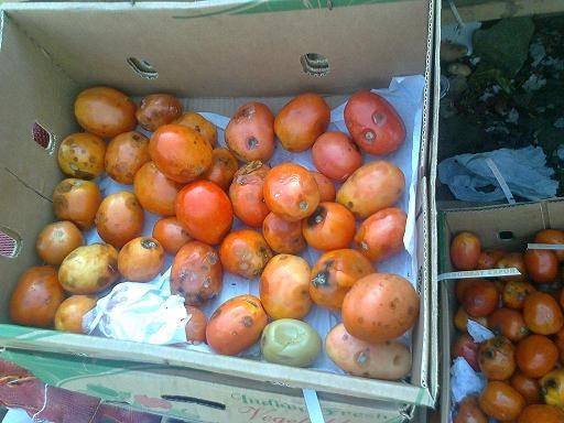 :	3.jpg
: 935
:	55.1 