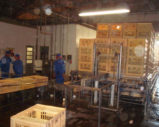 :	image006.jpg
: 1455
:	42.1 