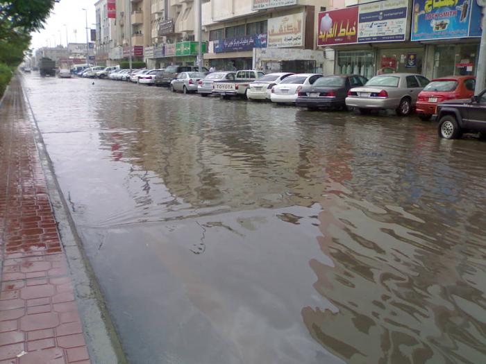     

:	201012303547.jpg
:	443
:	38.8 
:	4014