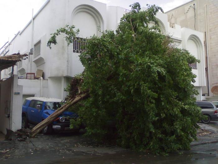     

:	201012303544.jpg
:	470
:	37.1 
:	4016