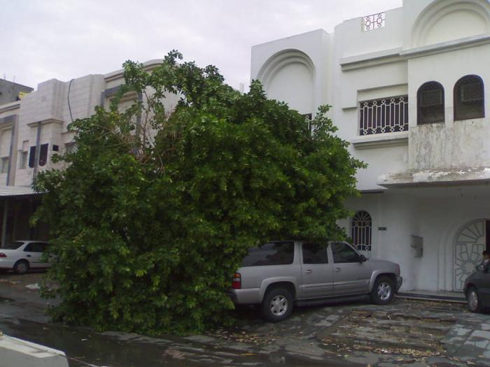     

:	201012303545.jpg
:	450
:	35.9 
:	4017