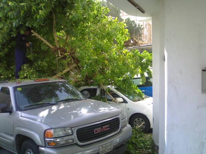     

:	201012303552.jpg
:	868
:	42.6 
:	4018