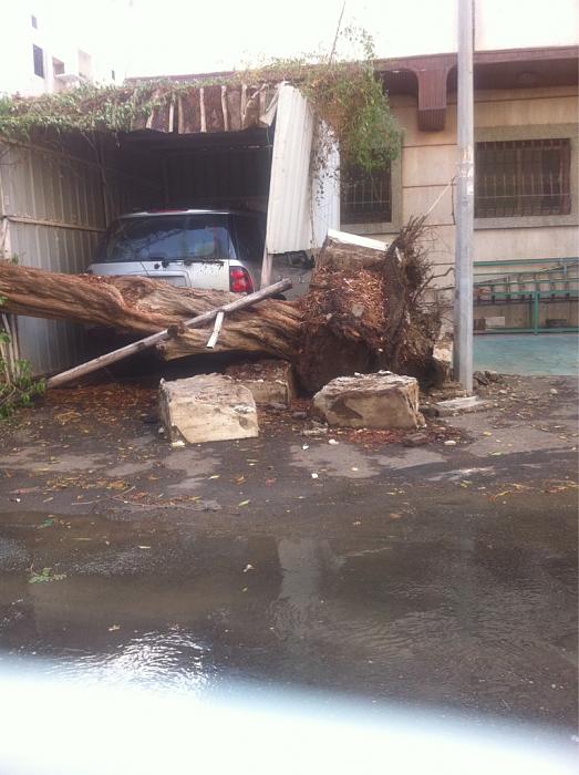     

:	rtrrr.jpg
:	688
:	22.3 
:	4023