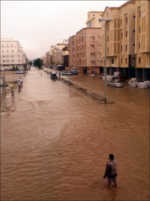     

:	rtrt.jpg
:	582
:	21.0 
:	4024