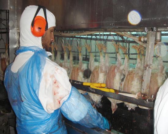 :	image010.jpg
: 1391
:	40.5 