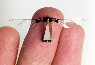 :	Pic47260.jpg
: 900
:	8.9 