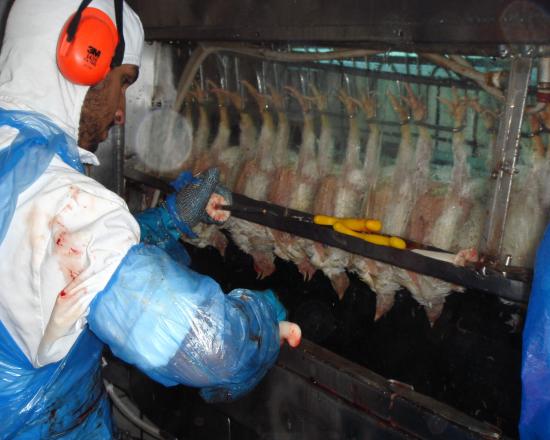 :	image011.jpg
: 1383
:	37.2 