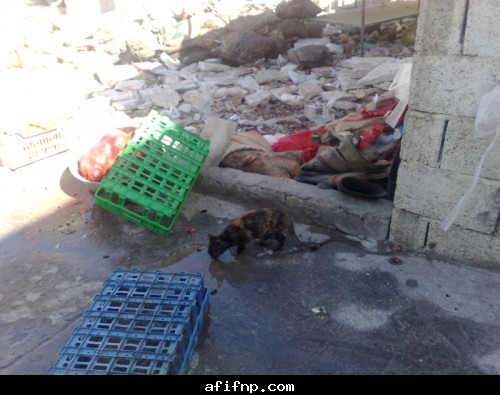 :	a4.jpg
: 715
:	54.5 