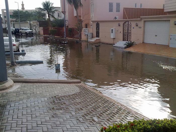     

:	15012011709.jpg
:	832
:	51.9 
:	4091