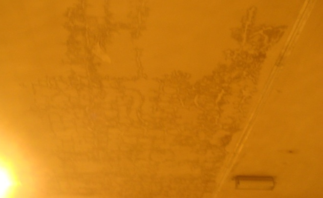 :	10.bmp.jpg
: 432
:	55.2 