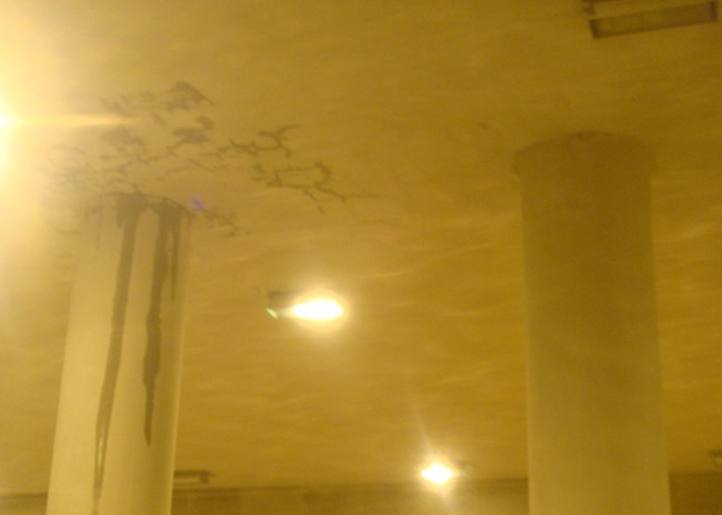     

:	11.bmp.jpg
:	343
:	14.2 
:	4122