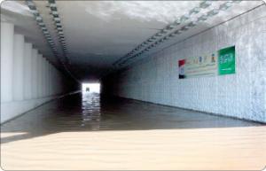 :	6970965649955312.jpg
: 381
:	8.8 