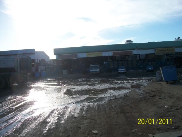     

:	100_1865.jpg
:	214
:	30.8 
:	4149