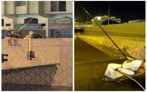 :	news13169949.jpg
: 453
:	27.4 