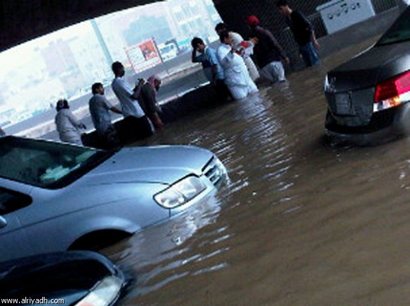 :	752219301904.jpg
: 662
:	46.4 