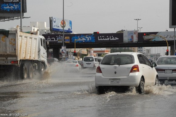 :	952569205962.jpg
: 696
:	44.8 