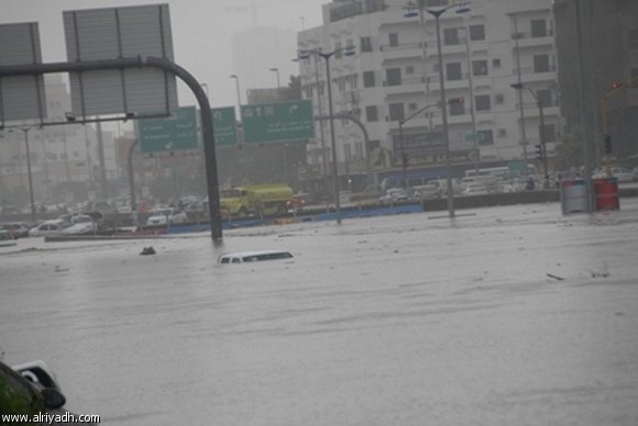 :	610641181613.jpg
: 675
:	29.0 