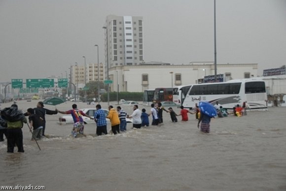 :	868828855237.jpg
: 619
:	31.5 