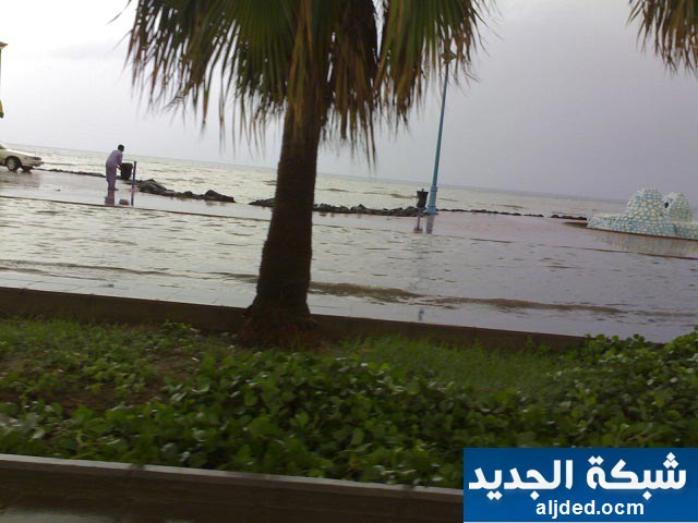     

:	jeddah_rain_26_january_10.jpg
:	381
:	37.6 
:	4197