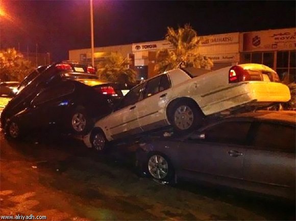 :	790157508570.jpg
: 295
:	41.1 