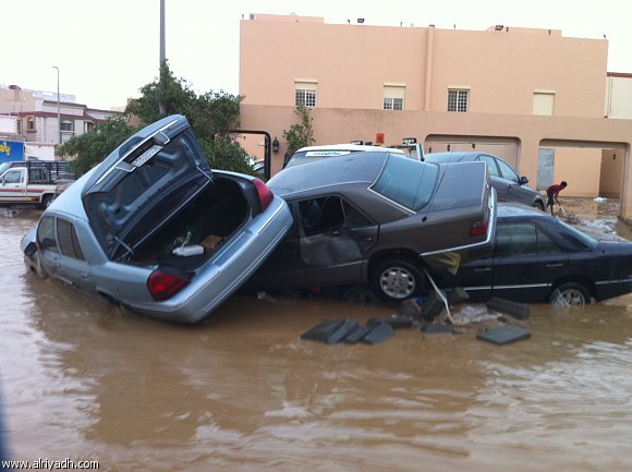 :	284634166210.jpg
: 455
:	48.2 