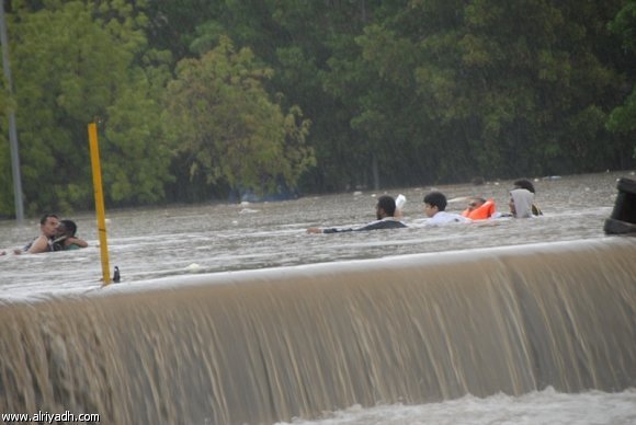 :	354317959572.jpg
: 451
:	38.0 