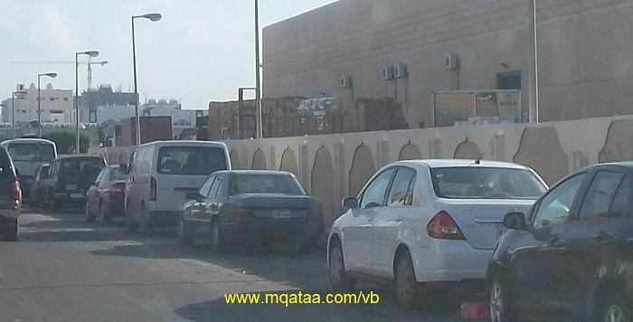     

:	100_1912-1.jpg
:	1013
:	30.9 
:	4240