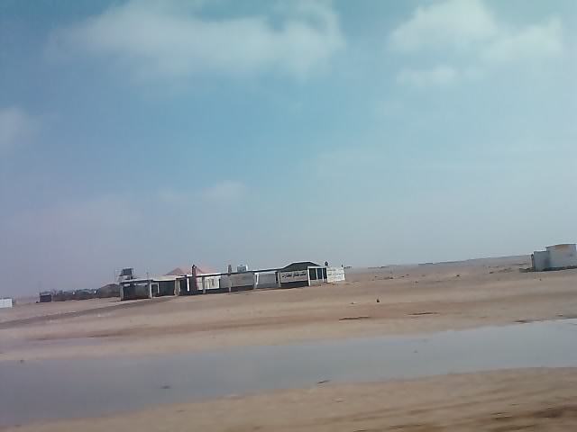     

:	 1 (1).jpg
:	445
:	14.4 
:	4247