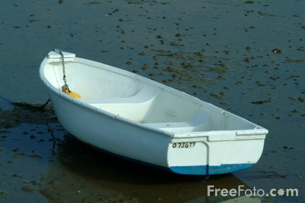 :	.jpg
: 398
:	235.5 