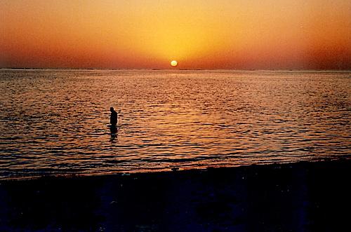 :	3.JPG
: 391
:	31.4 