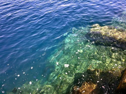 :	6.JPG
: 435
:	46.0 