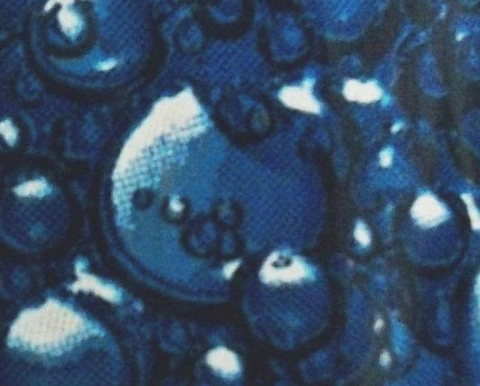     

:	100_1937-2.jpg
:	1572
:	30.0 
:	4371