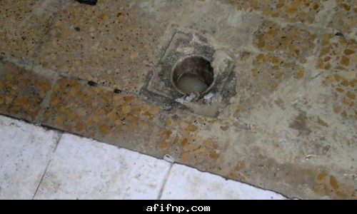 الاسم:	صورة 14.jpg
المشاهدات: 3554
الحجم:	39.6 كيلوبايت