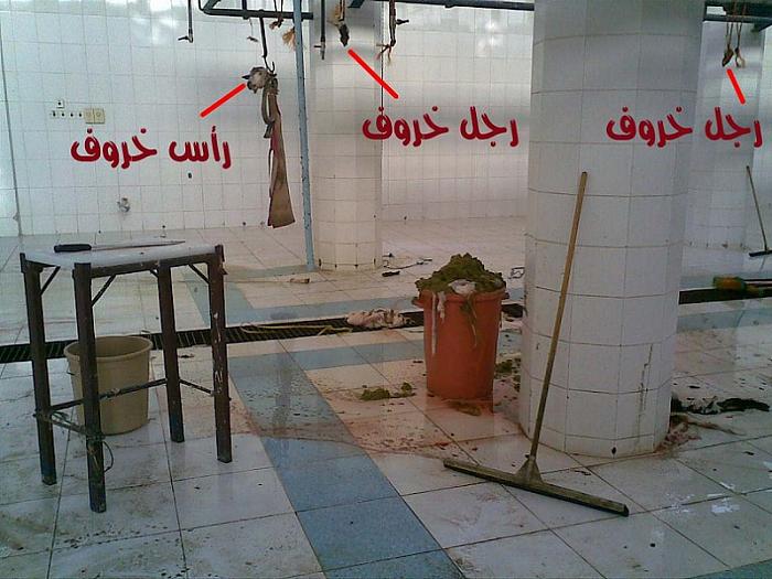     

:	 .jpg
:	624
:	41.2 
:	4672