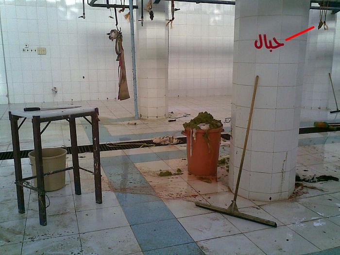     

:	 .jpg
:	569
:	37.9 
:	4673