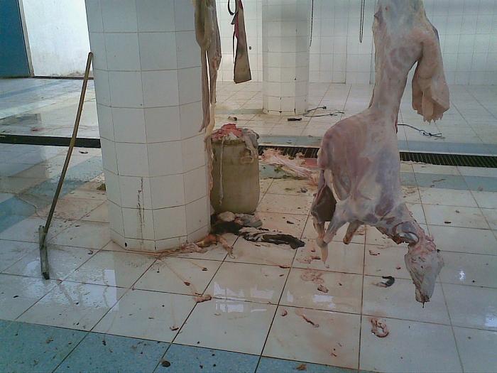     

:	 .jpg
:	550
:	34.5 
:	4674