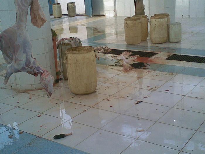     

:	 .jpg
:	597
:	32.2 
:	4677