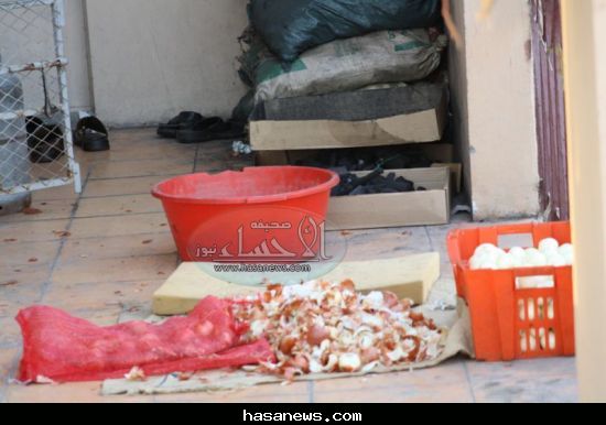 :	 .jpg
: 910
:	36.6 